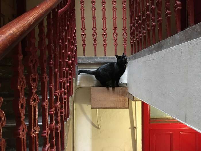 Olaf in the stairs rooms